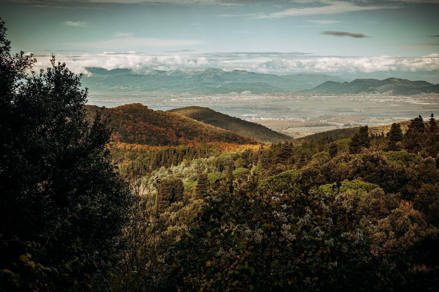 Panorama colline livornesi